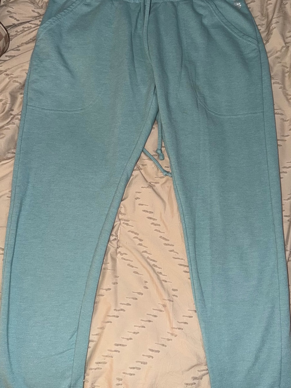 Free people Women’s Light Teal Drawstring Jogger Pants